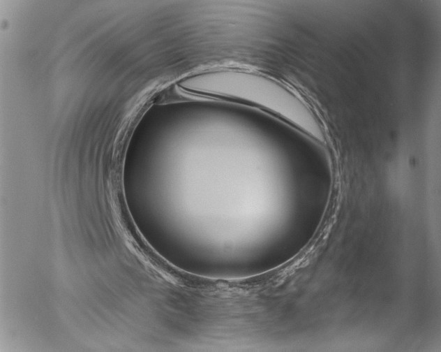 X0000055520193200509091416