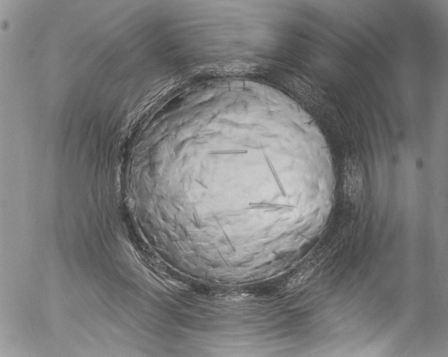 X0000055520206200509091416