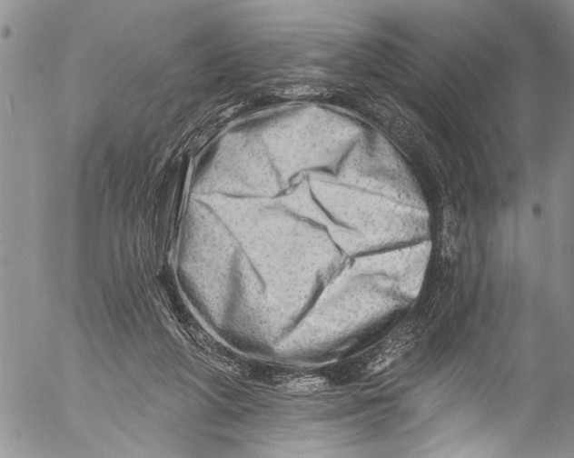 X0000055520210200509091416
