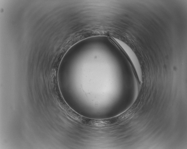 X0000055520229200509091415