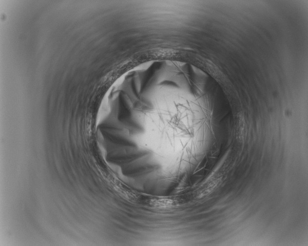 X0000055520230200509091415