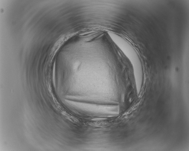 X0000055520241200509091414