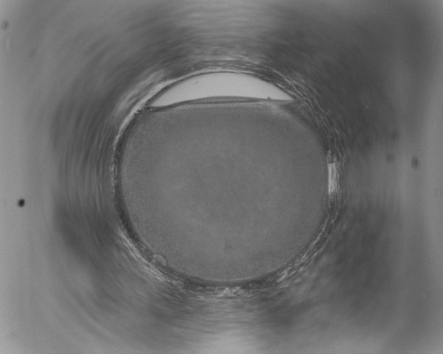 X0000055520243200509091414