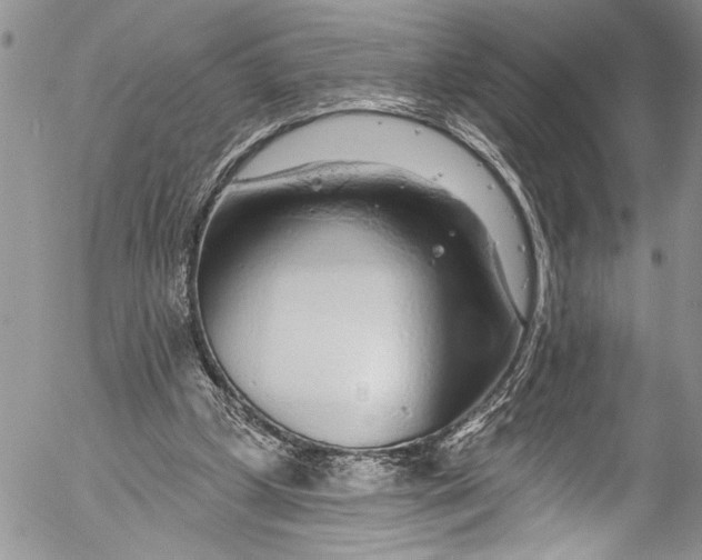 X0000055520249200509091414