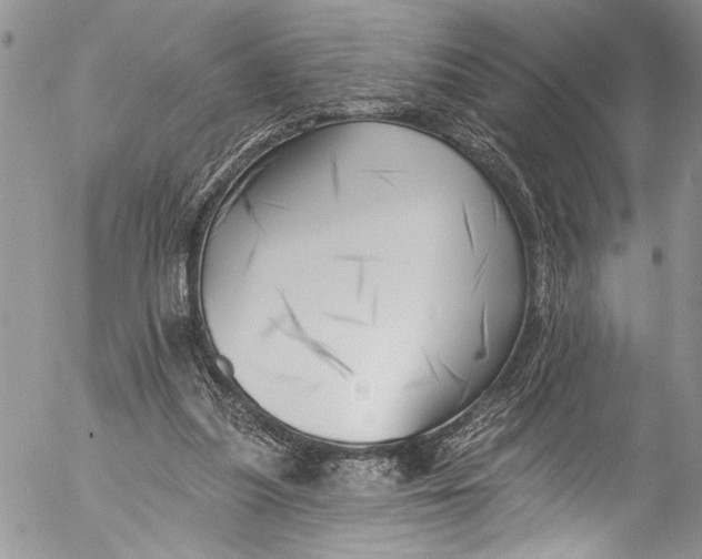 X0000055520251200509091414