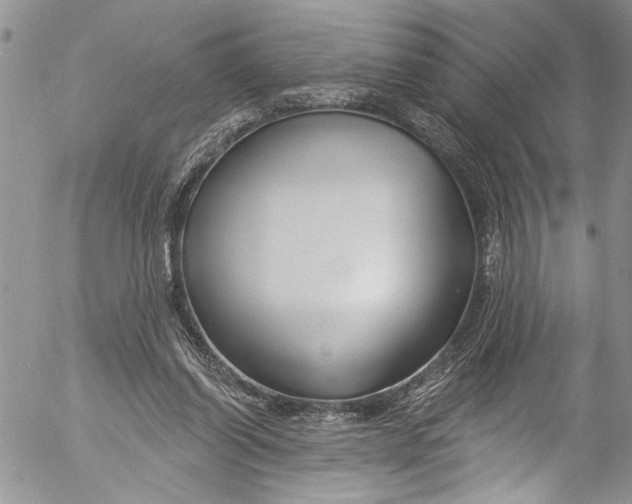 X0000055520254200509091414