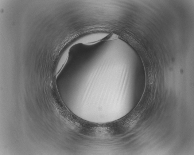 X0000055520255200509091414