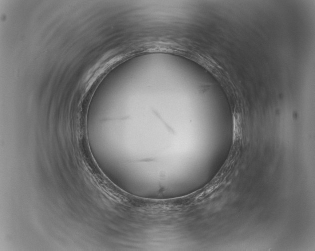 X0000055520291200509091414