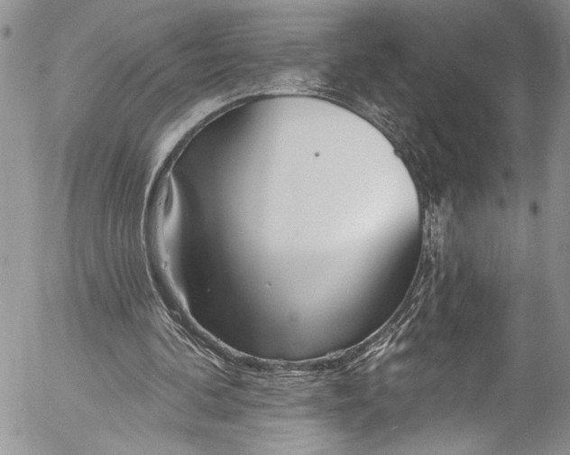 X0000055520292200509091414