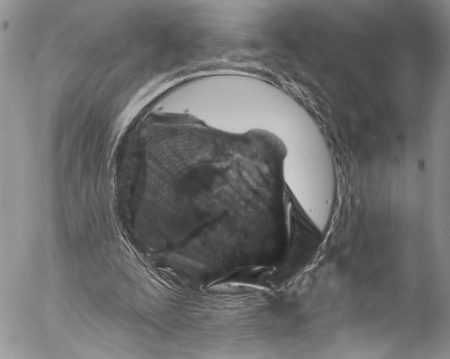 X0000055520295200509091414