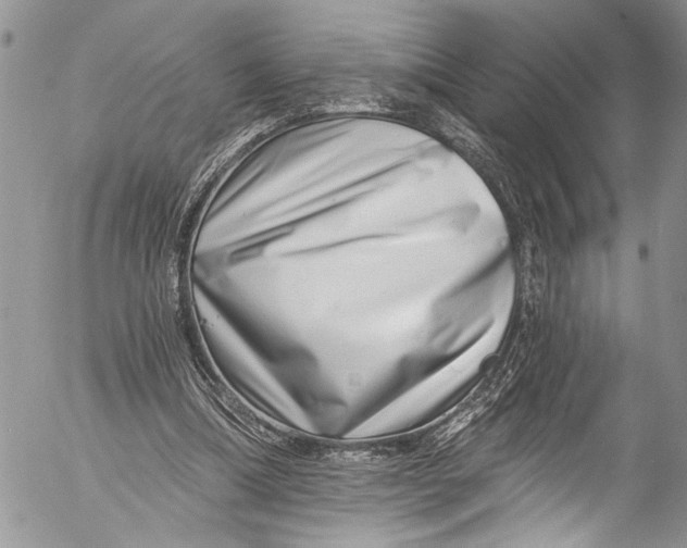 X0000055520298200509091414