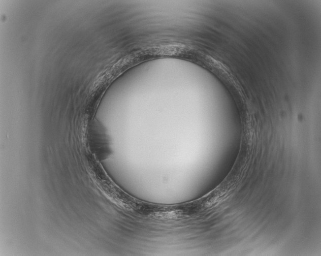X0000055520307200509091414