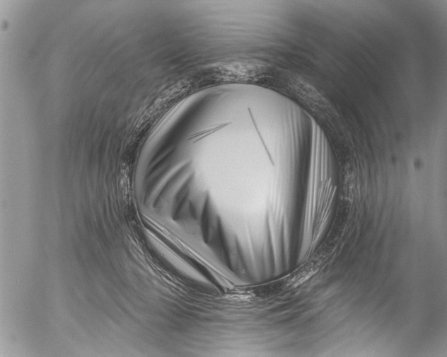 X0000055520318200509091414