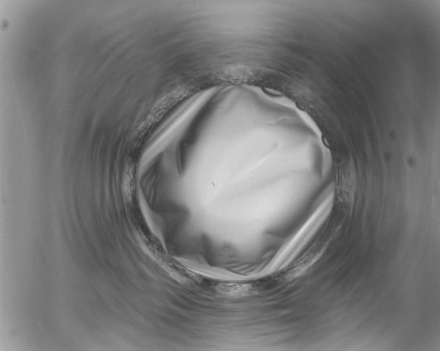 X0000055520334200509091413