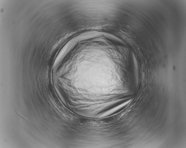 X0000055520346200509091413
