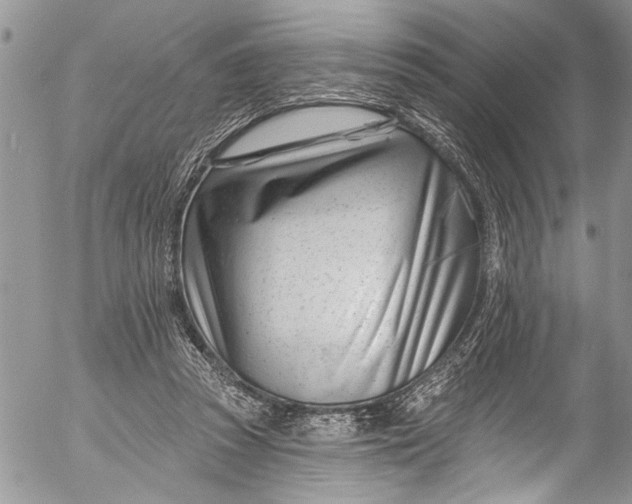 X0000055520353200509091413