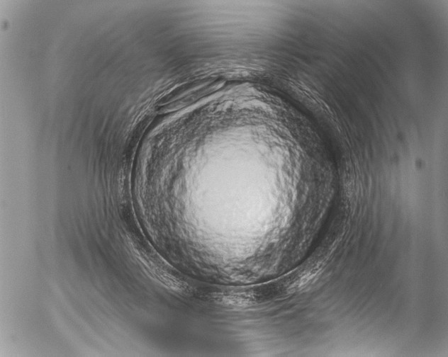 X0000055520359200509091413