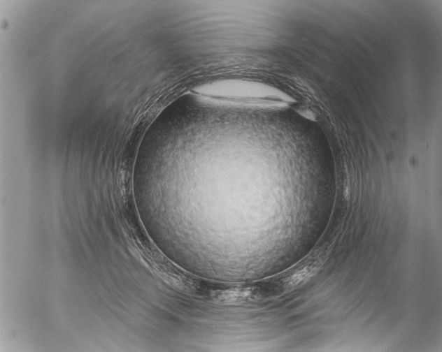 X0000055520366200509091413