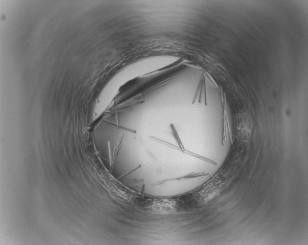 X0000055520369200509091413