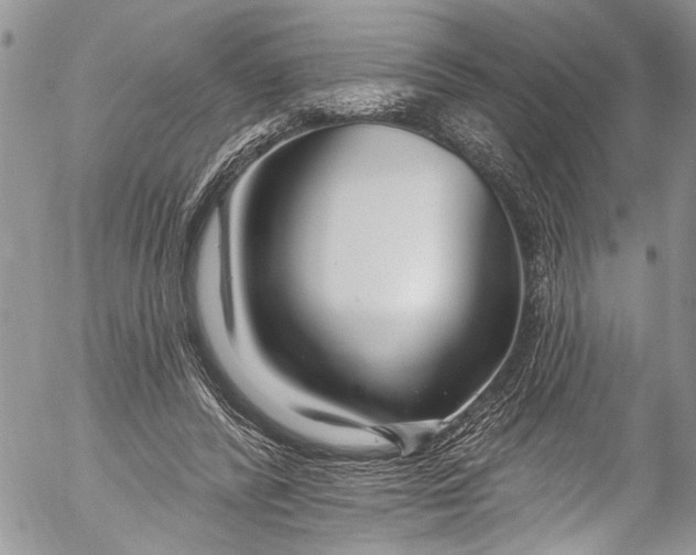 X0000055520400200509091412