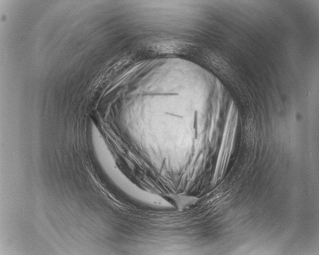X0000055520406200509091412