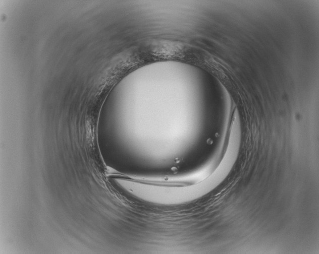 X0000055520420200509091412