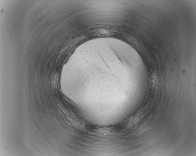 X0000055520423200509091412