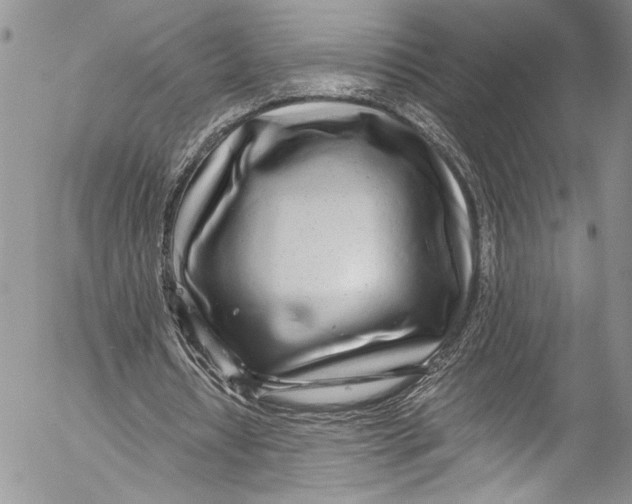 X0000055520434200509091411