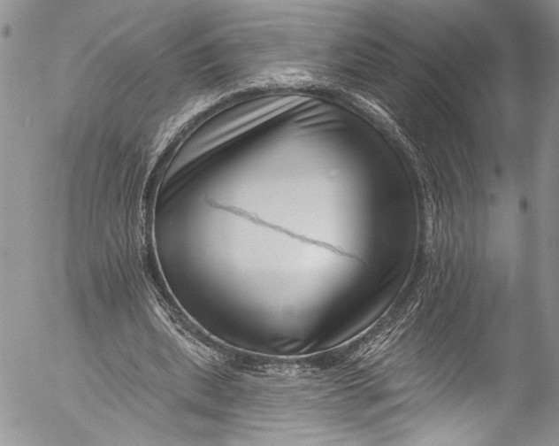X0000055520439200509091411
