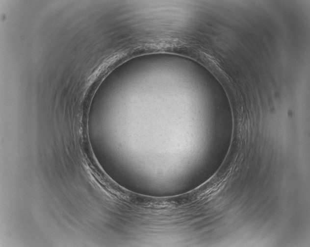X0000055520443200509091411