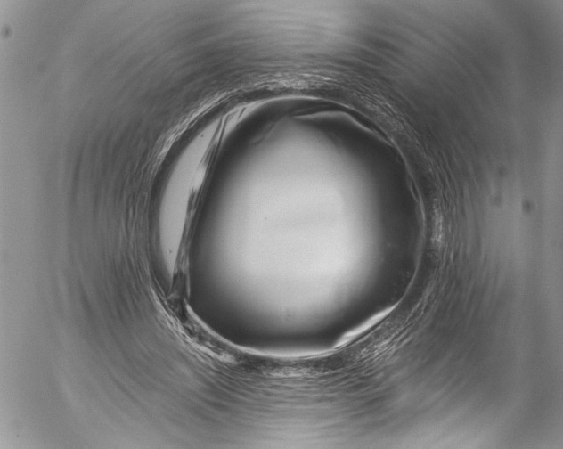 X0000055520444200509091411