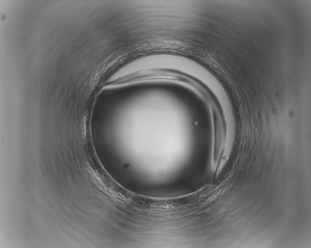 X0000055520454200509091411