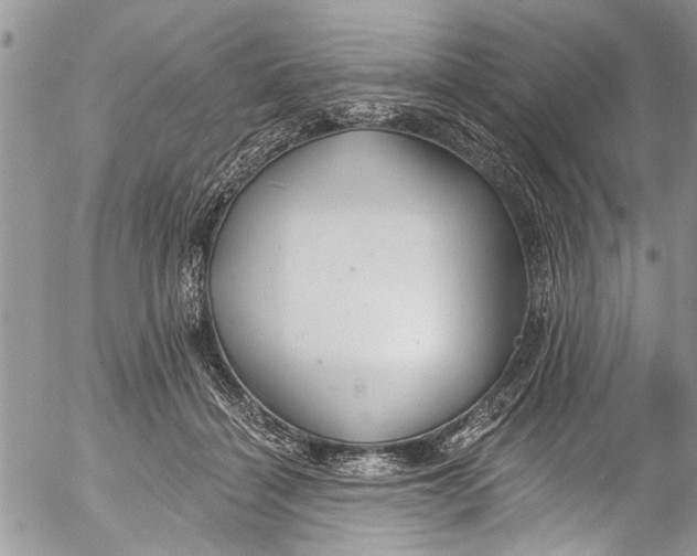 X0000055520460200509091412