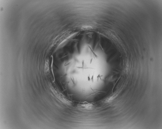 X0000055520478200509091412