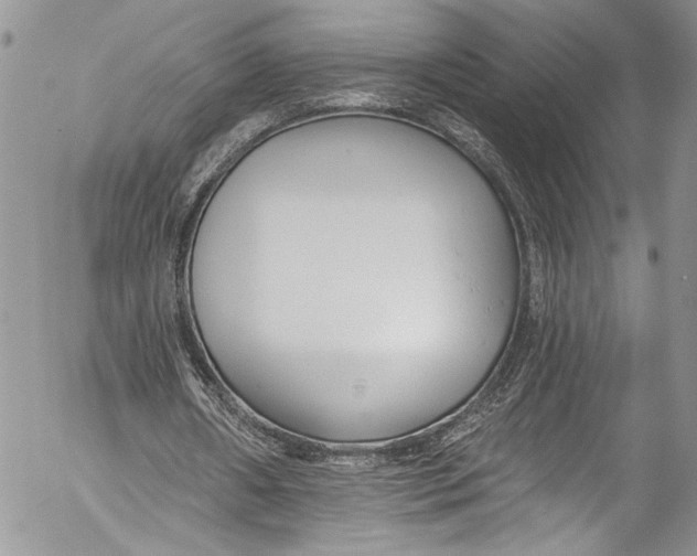 X0000055520482200509091411