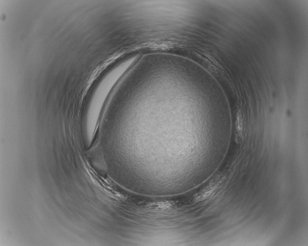 X0000055520492200509091411