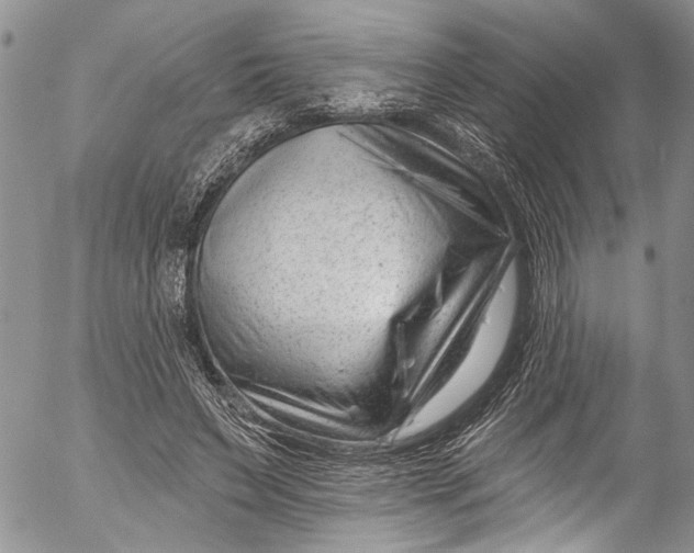 X0000055520495200509091411