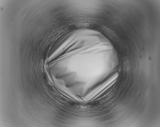 X0000055520498200509091411