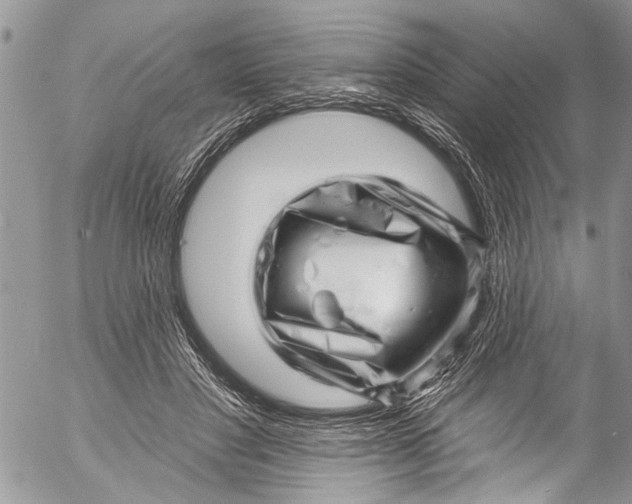 X0000055520501200509091411