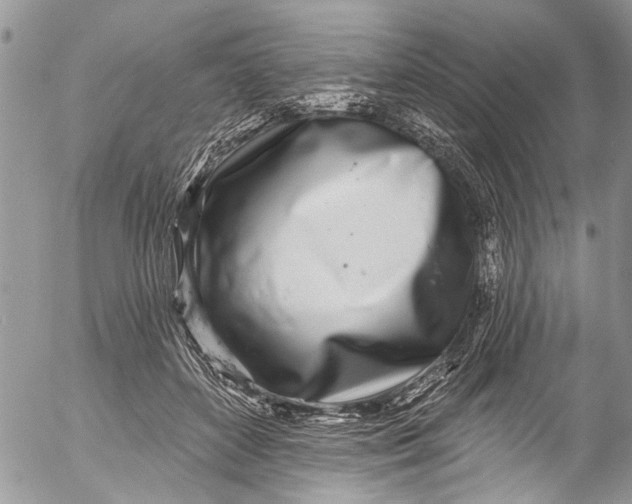 X0000055520504200509091411