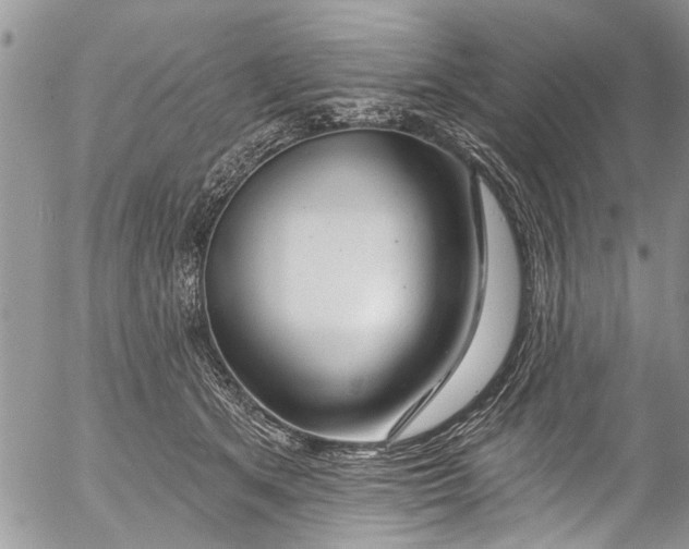 X0000055520513200509091411