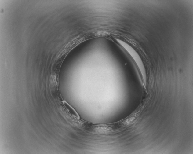 X0000055520521200509091410