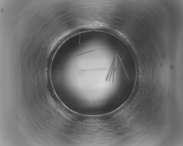 X0000055520535200509091409