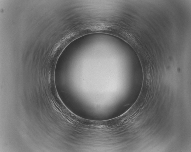 X0000055520539200509091410