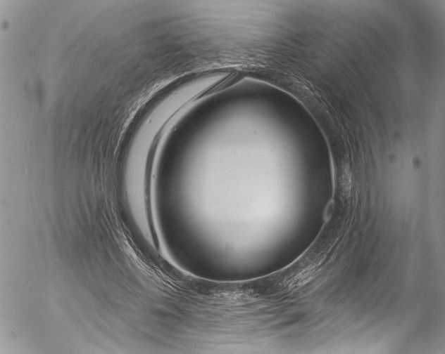 X0000055520540200509091410