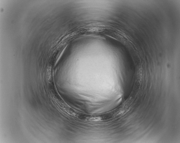 X0000055520554200509091410