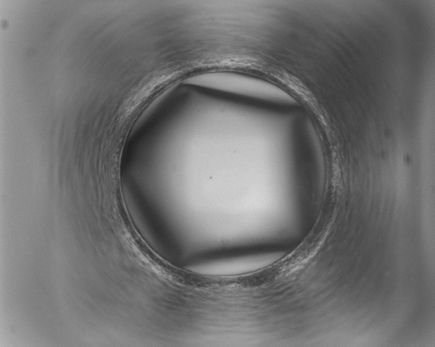 X0000055520577200509091409