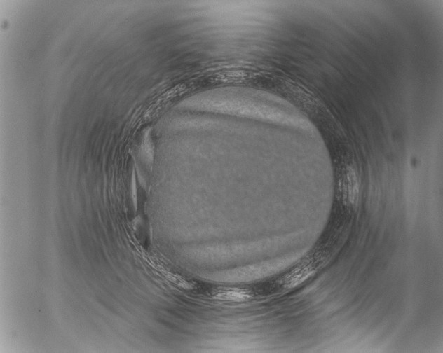 X0000055520610200509091409