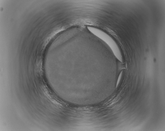 X0000055520627200509091408