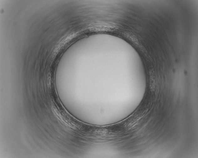 X0000055520631200509091408